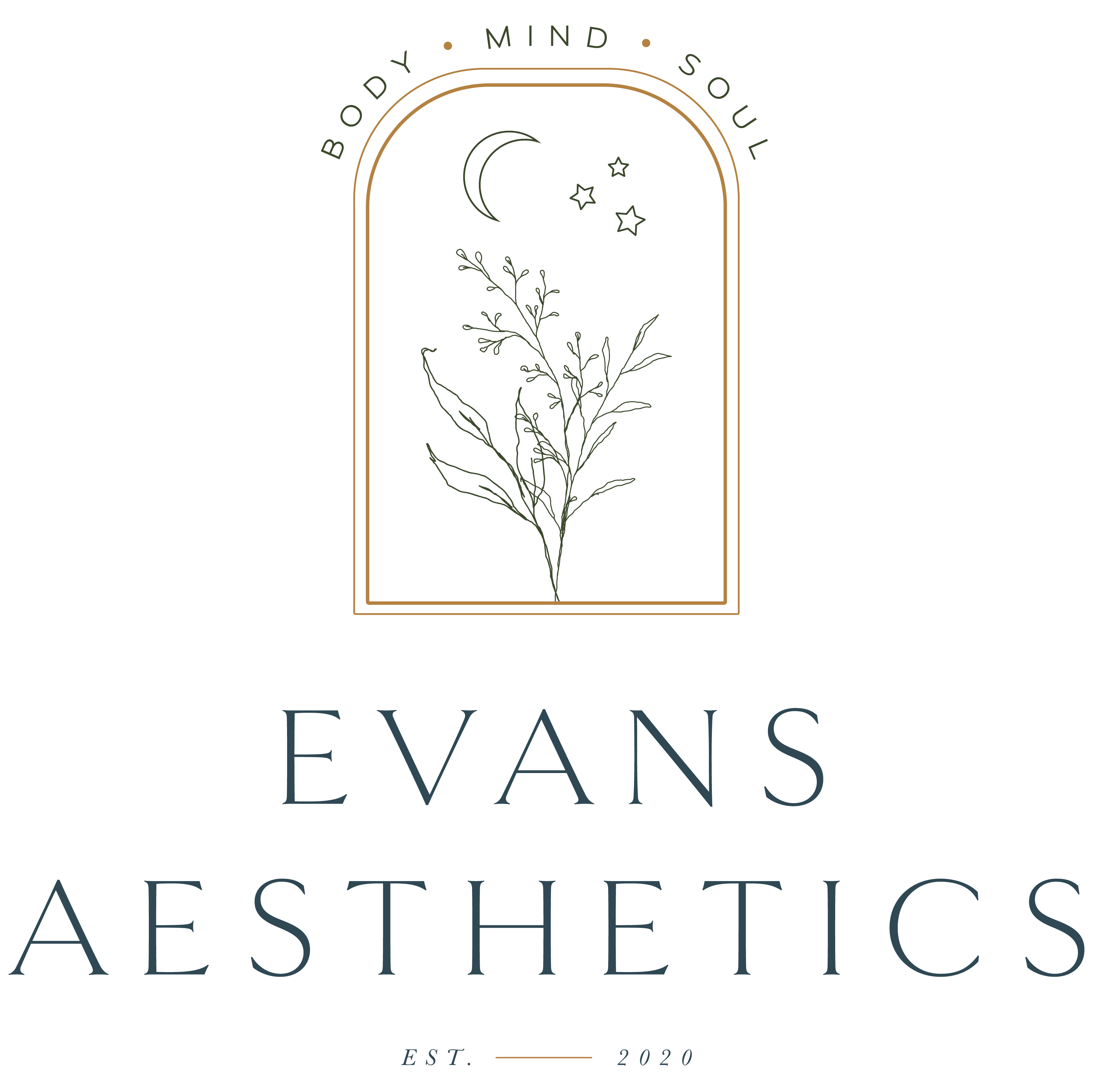 Evans Aesthetics